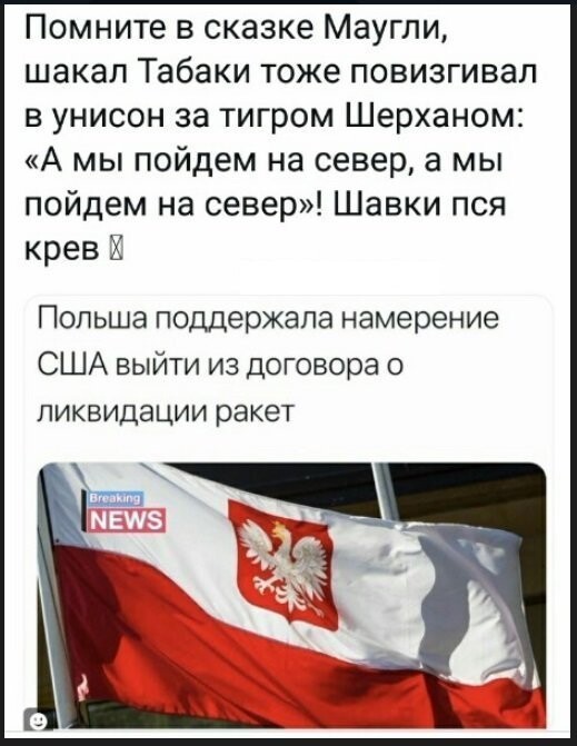 Политические коментарии соцстей - 619