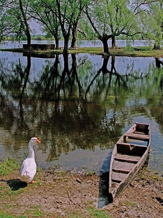 Сельские пейзажи