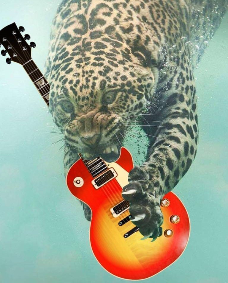 10. Def Leopard собираются отправиться в тур с новым гитаристом