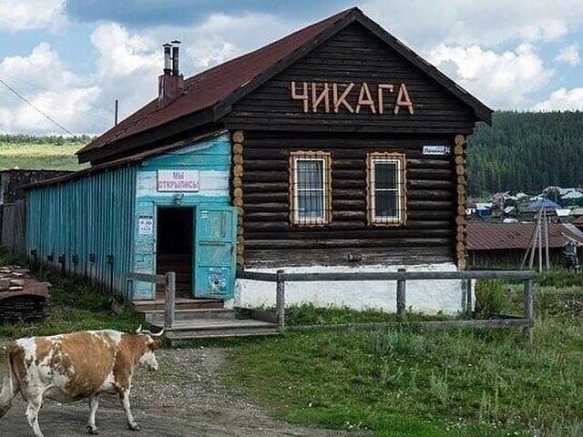 Прикольные картинки