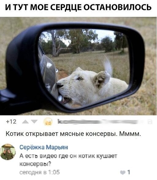 На грани маразма