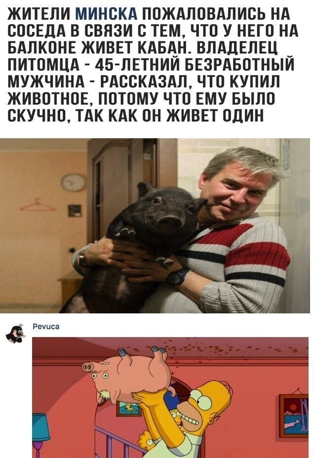 На грани маразма