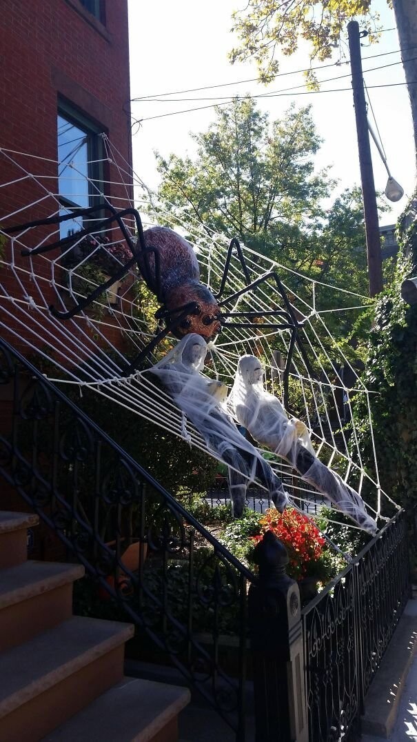 "Мои соседи подходят к Хэллоуину серьезно"