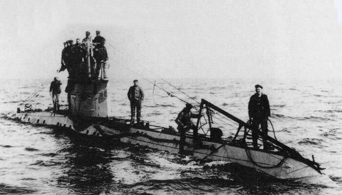 Тайное оружие англичан: Зачем британские военные учили чаек гадить на подводные лодки