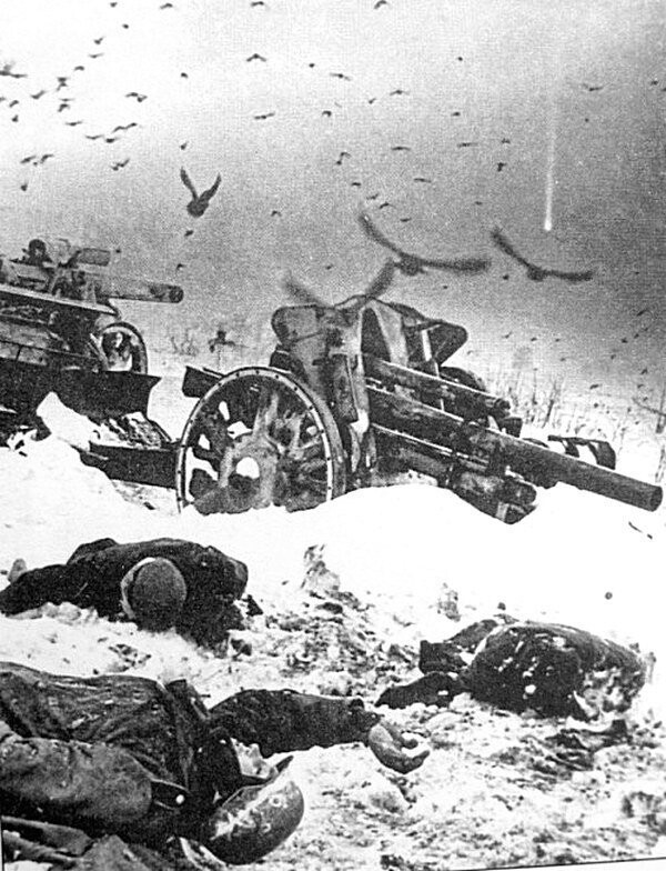 Немецкие солдаты убитые во время битвы под Москвой 1941 года . 