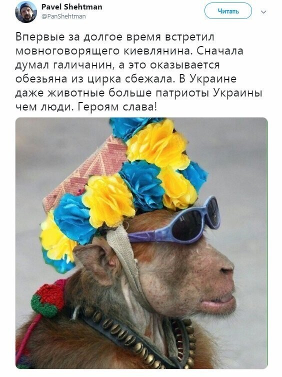 Политические коментарии соцстей - 627