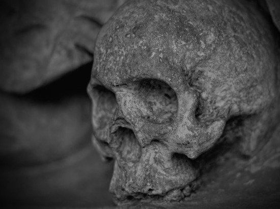 Дачник из Благовещенска раскопал десятки черепов с пулевыми отверстиями