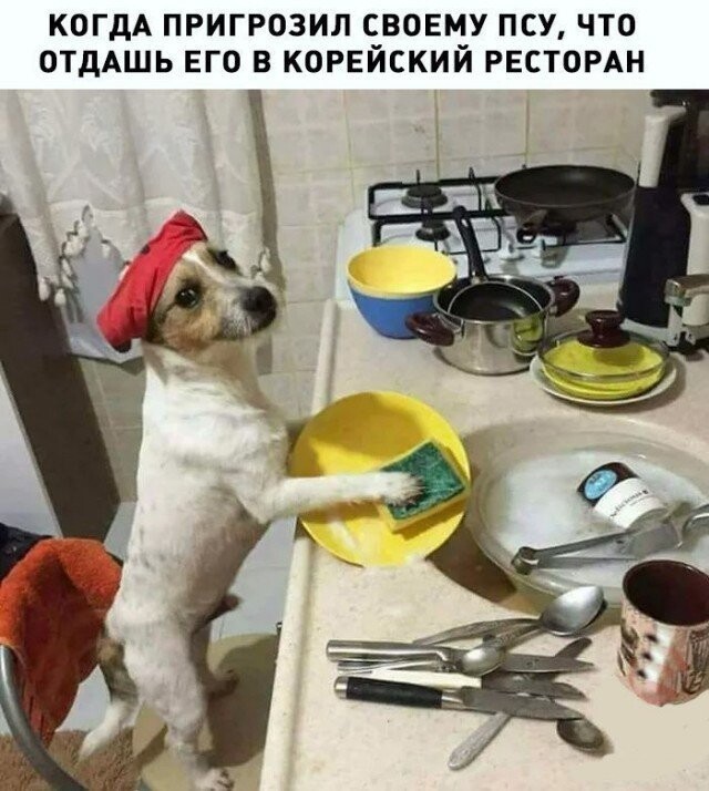 Картинки юморные и тексты