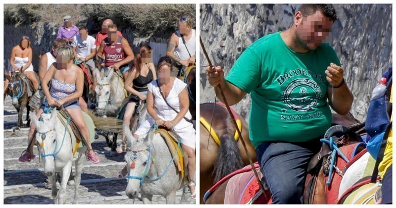 Правда ли, что в Греции жирным туристам запретили кататься на ослах?