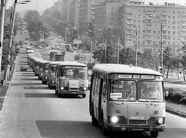 Колонна автобусов везет счастливых пионеров в лагерь, СССР, 1982 год. 