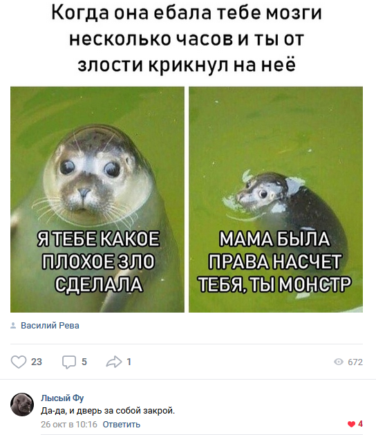 Картинки и смешные комментарии на вечер