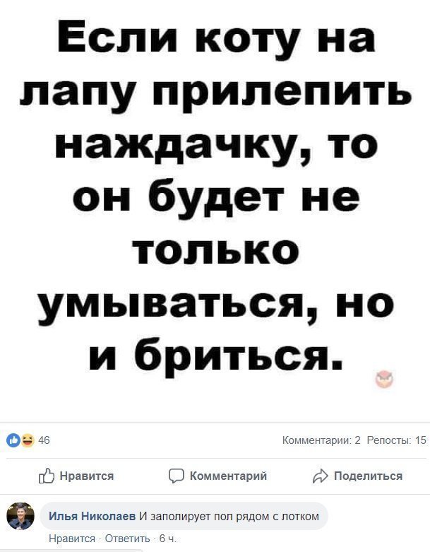 Картинки и смешные комментарии на вечер от Димон за 02 ноября 2018 19:49