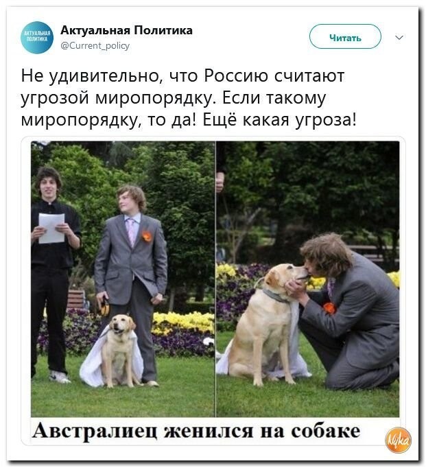 Политические коментарии соцстей - 630