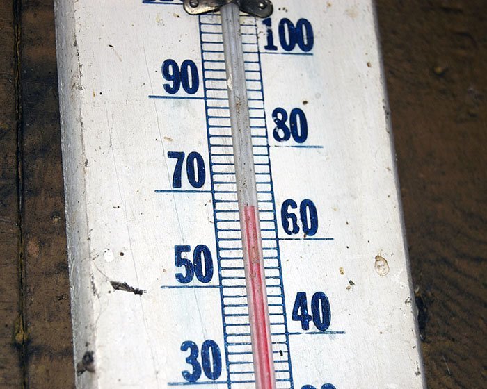 Самая высокая температура, зарегистрированная в Антарктиде, - +17,5 градусов