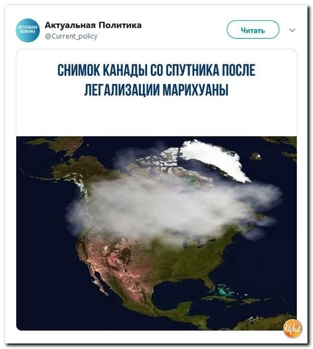 Политические коментарии соцстей - 631