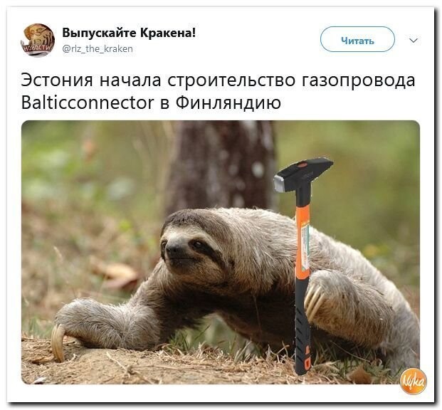 Политические коментарии соцстей - 631