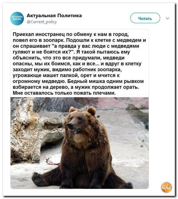 Политические коментарии соцстей - 631