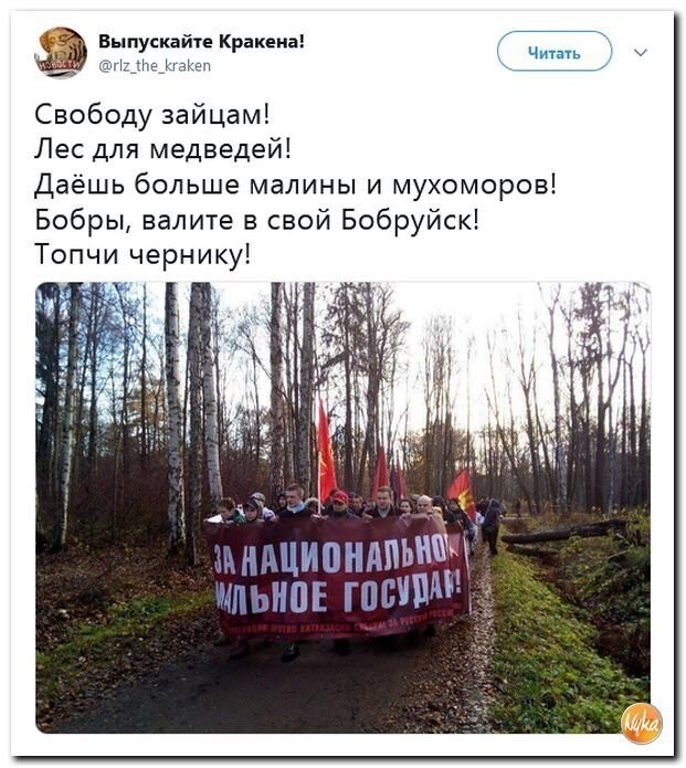 Политические коментарии соцстей - 632