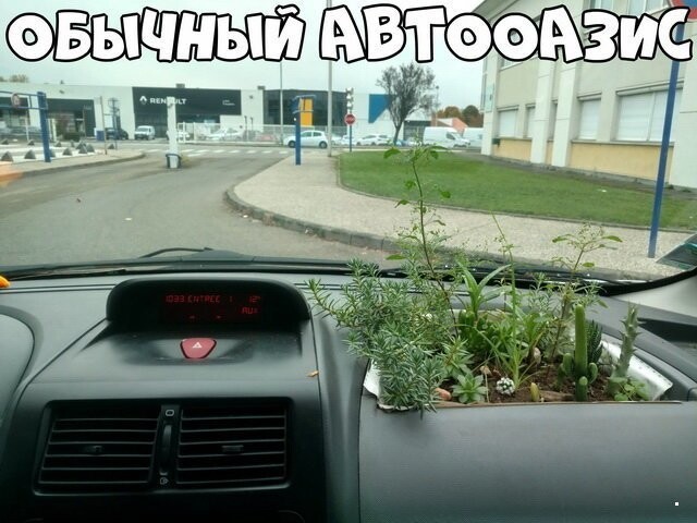 Автовсячина