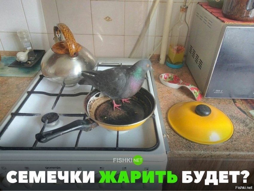 Семечки жарить будем?