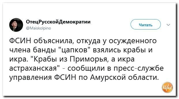 Политические коментарии соцстей - 634