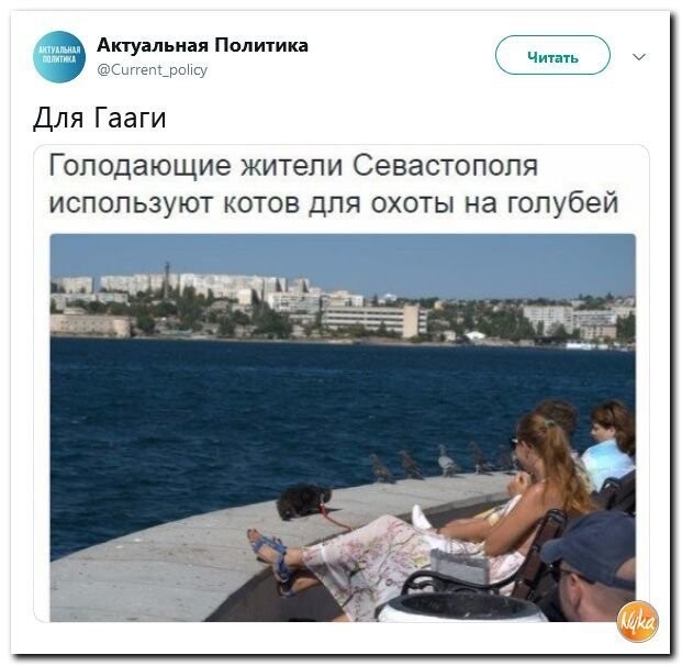 Политические коментарии соцстей - 634