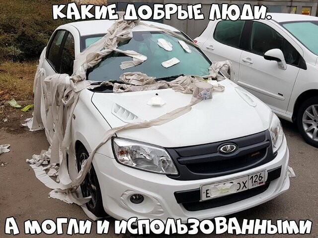 Автовсячина