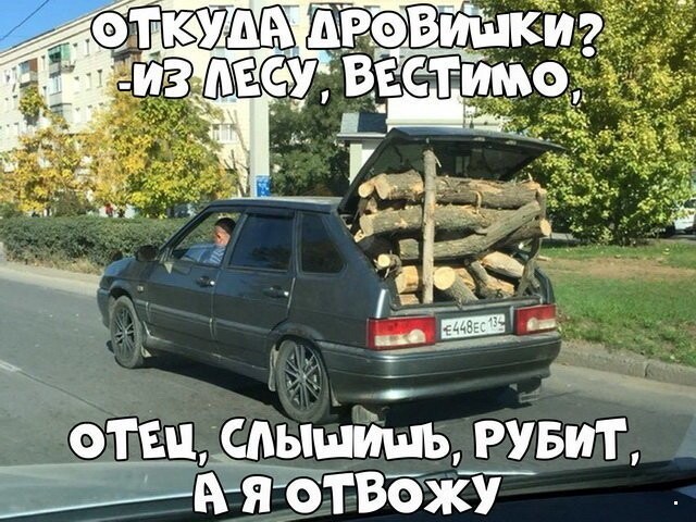 Автовсячина