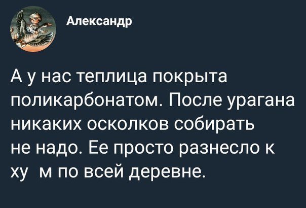 Прикольные комментарии и высказывания из сети от Димон за 08 ноября 2018 14:44