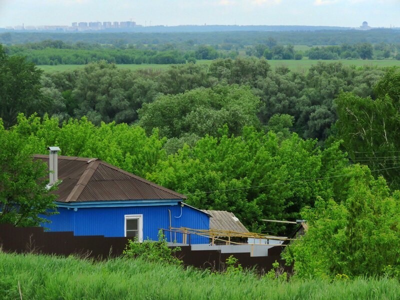 Костёнки. Где человек стал человеком