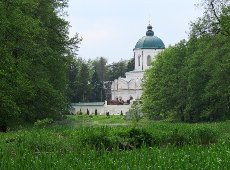 Воронежский заповедник. Оплот бобра