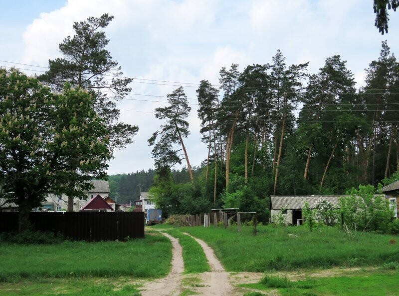 Воронежский заповедник. Оплот бобра