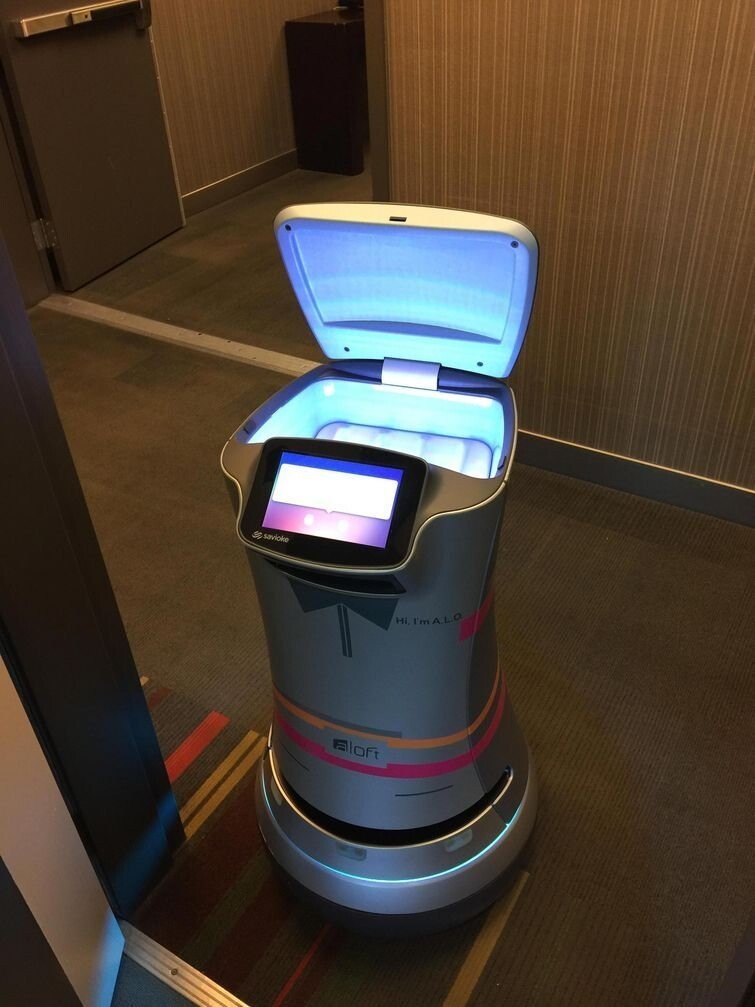"Этот робот доставил рулон туалетной бумаги к двери моего номера в отеле в Купертино [США]"