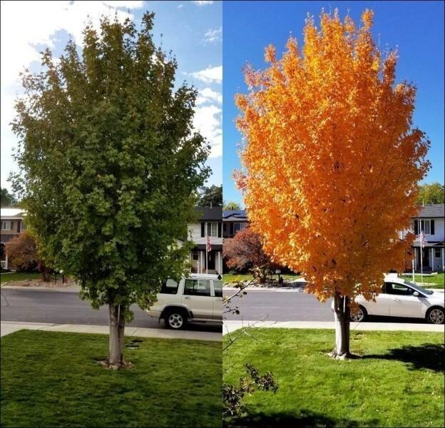 Фотографии вместо тысячи слов