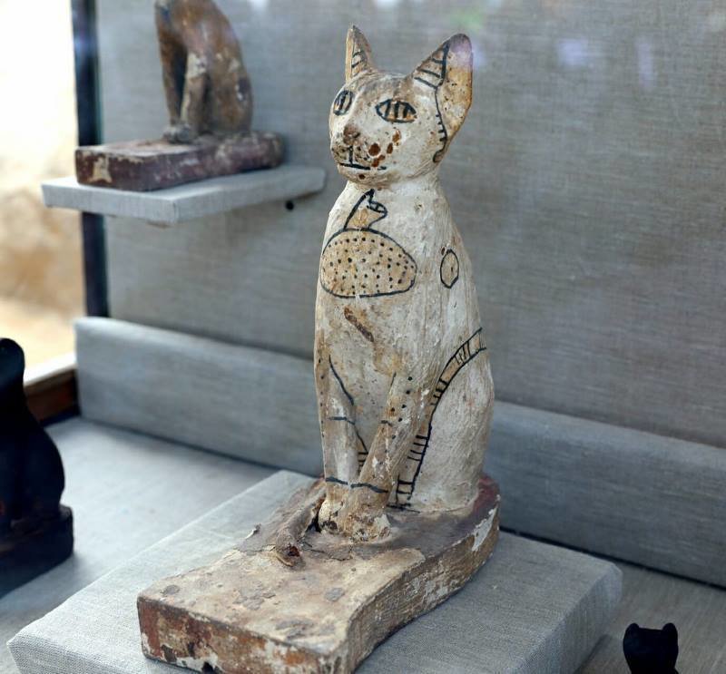 В Египте нашли редкие мумии кошек и скарабеев в 7 гробницах возле пирамид