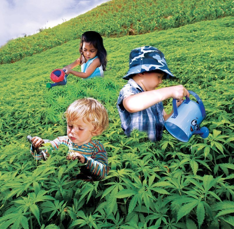 Марихуана и будущие ребенок на определение марихуаны купить