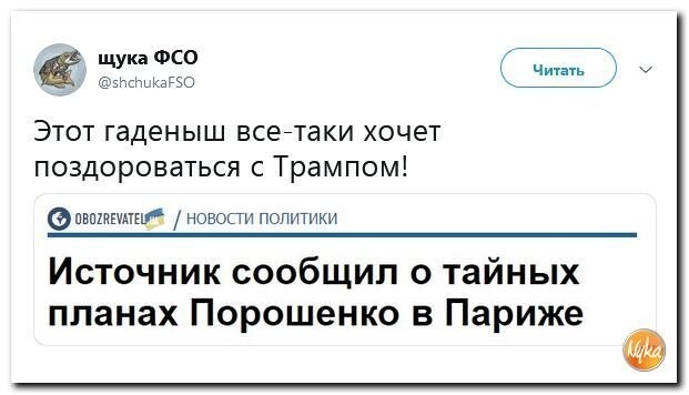 Политические коментарии соцстей - 639