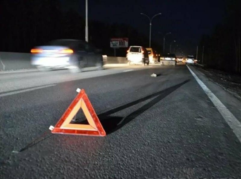 Женщину, перебегавшую трассу в Ростовской области, сбили три машины подряд