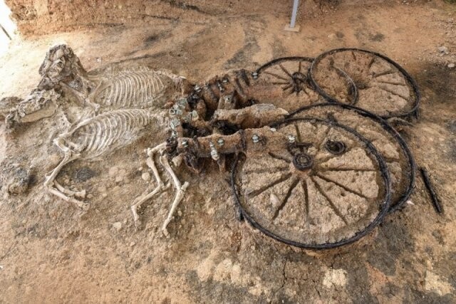 Фракийская колесница и конские скелеты. Болгария, возраст захоронения - 2000 лет.