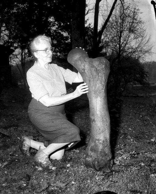 Женщина и кость мастодонта, обнаруженная на заднем дворе её дома, США, 1963 год.