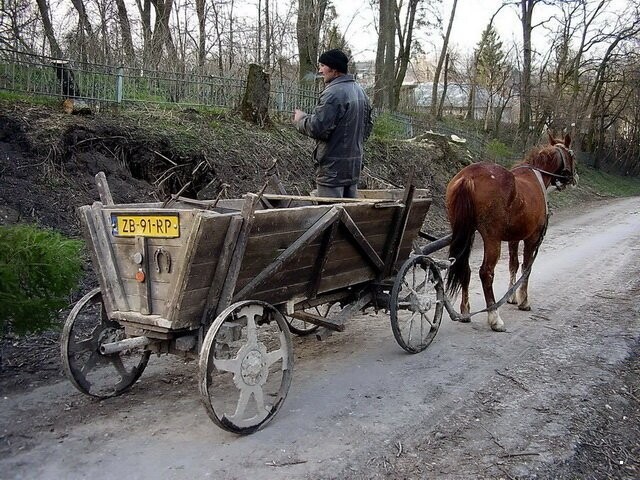 Автовсячина