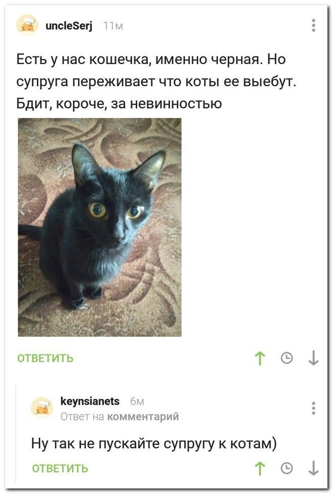 Прикольные и смешные картинки