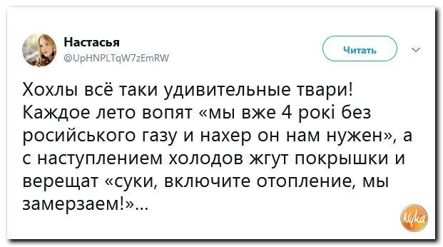 Политические коментарии соцстей - 640