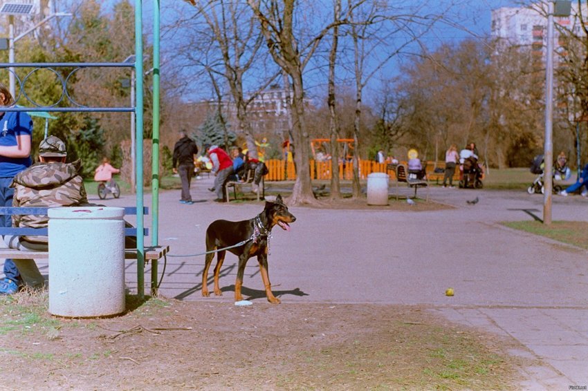 Мои первые шаги с пленочного фотоаппарата