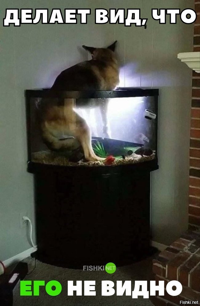 Типа его не видно