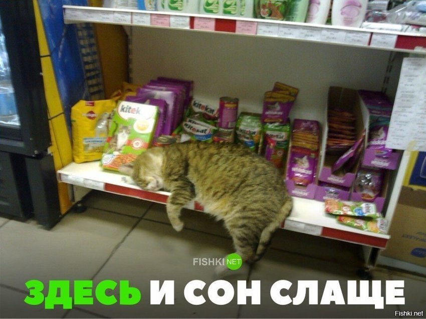 Здесь и сон слаще