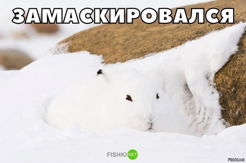Замаскировался