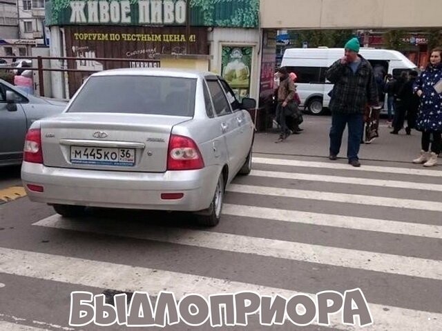 Автовсячина