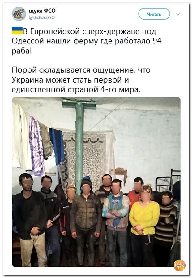 Политические коментарии соцстей - 641