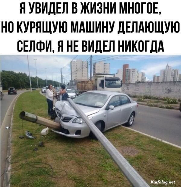 Прикольные и смешные картинки